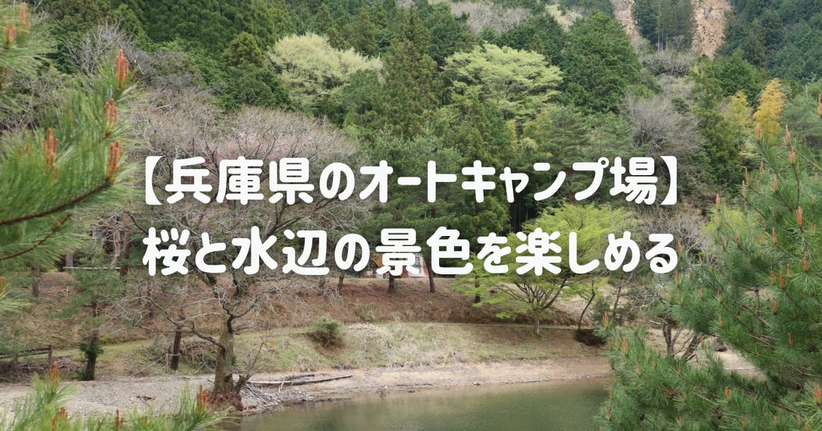 大杉ダム自然公園オートキャンプ場　兵庫県　丹波市　桜　湖